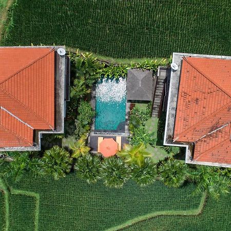 Cenik Villa Ubud Exterior photo