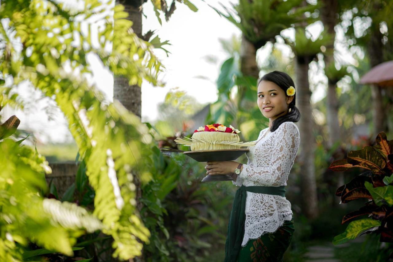 Cenik Villa Ubud Exterior photo